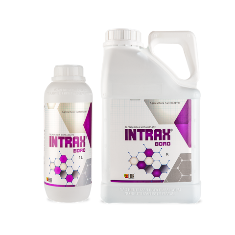 Intrax Boro